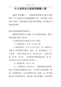 什么是职业生涯规划精编5篇