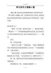 种太阳作文精编4篇