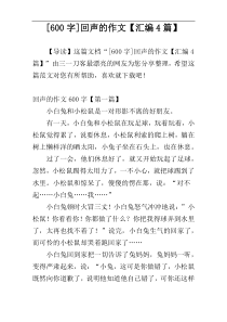 [600字]回声的作文【汇编4篇】