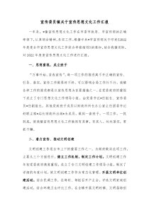 宣传委员镇关于宣传思想文化工作汇报