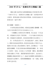 [800字]什么一直都在作文精编5篇