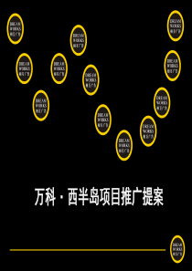 万科-武汉万科-西半岛项目广告推广提案-85PPT-相互广告