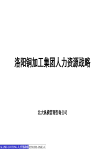 北大纵横-洛阳铜加工-集团人力资源战略报告