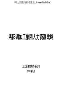 北大纵横_洛铜集团人力资源战略规划