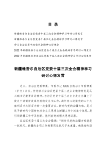 2022新疆自治区党委十届三次全会精神学习研讨心得发言5篇