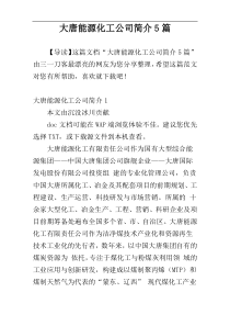 大唐能源化工公司简介5篇