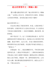 逝去的青春作文（精编4篇）