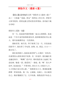 探险作文（最新4篇）