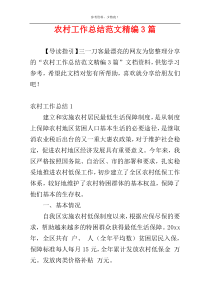 农村工作总结范文精编3篇