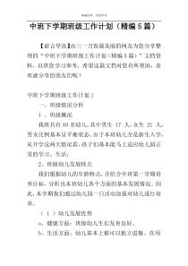 中班下学期班级工作计划（精编5篇）