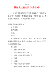 国际货运输合同(5篇范例)