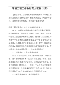 环境工程工作总结范文范例(2篇)