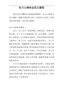 实习心得体会范文感悟