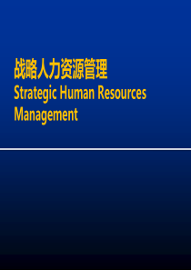 战略人力资源管理模型