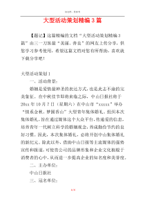 大型活动策划精编3篇