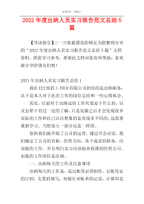 2022年度出纳人员实习报告范文总结5篇