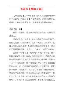 圣诞节【精编4篇】
