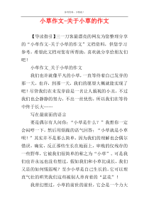 小草作文-关于小草的作文
