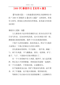 [600字]暑假作文【实用4篇】