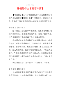 暑假的作文【推荐5篇】