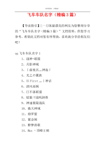 飞车车队名字（精编3篇）