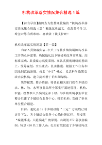 机构改革落实情况集合精选4篇