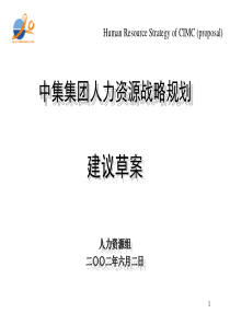 某集团集团人力资源战略规划