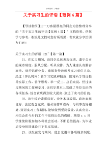 关于实习生的评语【范例4篇】