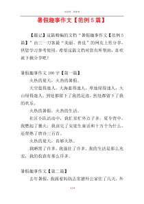 暑假趣事作文【范例5篇】