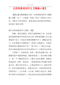 自然现象雨的作文【精编4篇】