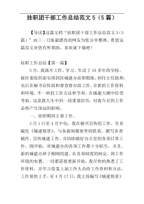 挂职团干部工作总结范文5（5篇）