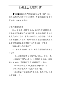 防治水会议纪要3篇