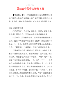 团结合作的作文精编3篇