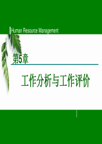 第5章人力资源战略规划