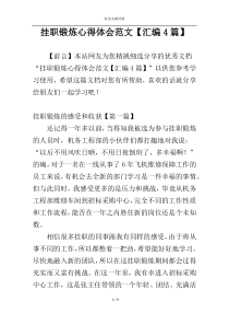挂职锻炼心得体会范文【汇编4篇】