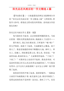 阳光总在风雨后初一作文精选4篇