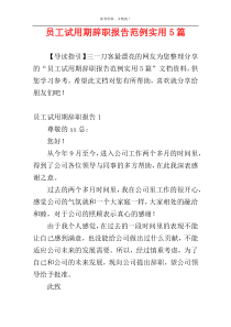 员工试用期辞职报告范例实用5篇