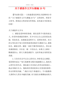 关于感恩作文开头精编20句