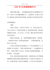[600字]向英雄致敬作文