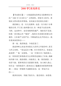 [800字]目光作文
