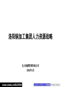 铜加工集团人力资源战略报告(1)