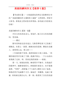 美丽的瞬间作文【推荐5篇】