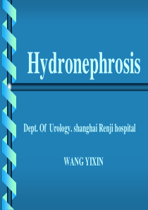 Hydronephrosis英文