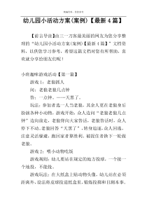 幼儿园小活动方案(案例)【最新4篇】