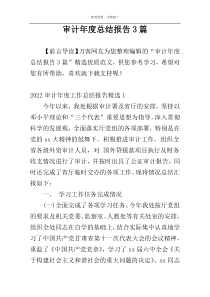 审计年度总结报告3篇