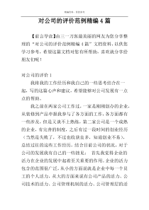 对公司的评价范例精编4篇