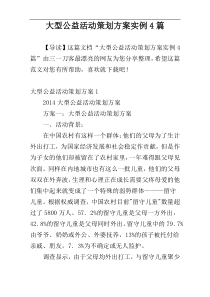 大型公益活动策划方案实例4篇