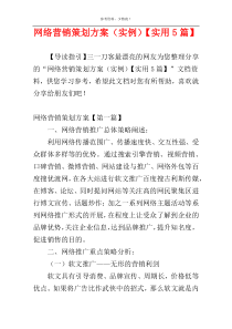 网络营销策划方案（实例）【实用5篇】