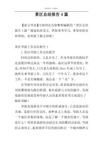 景区总结报告4篇
