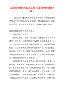 巡察反馈意见整改工作方案范例(精编4篇)